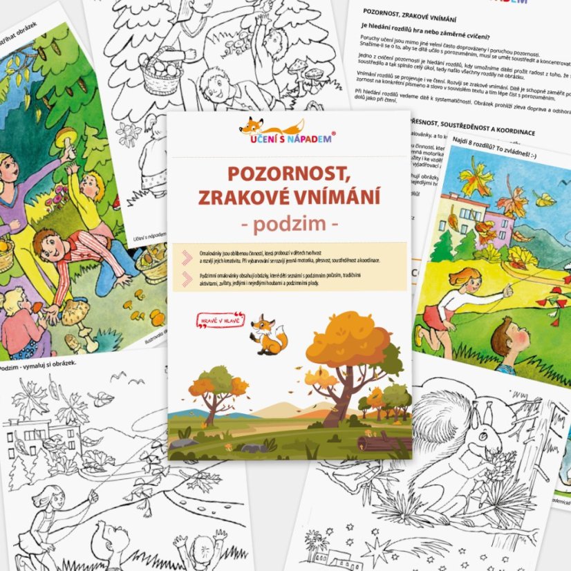 Pozornost, zrakové vnímání – podzim – PDF