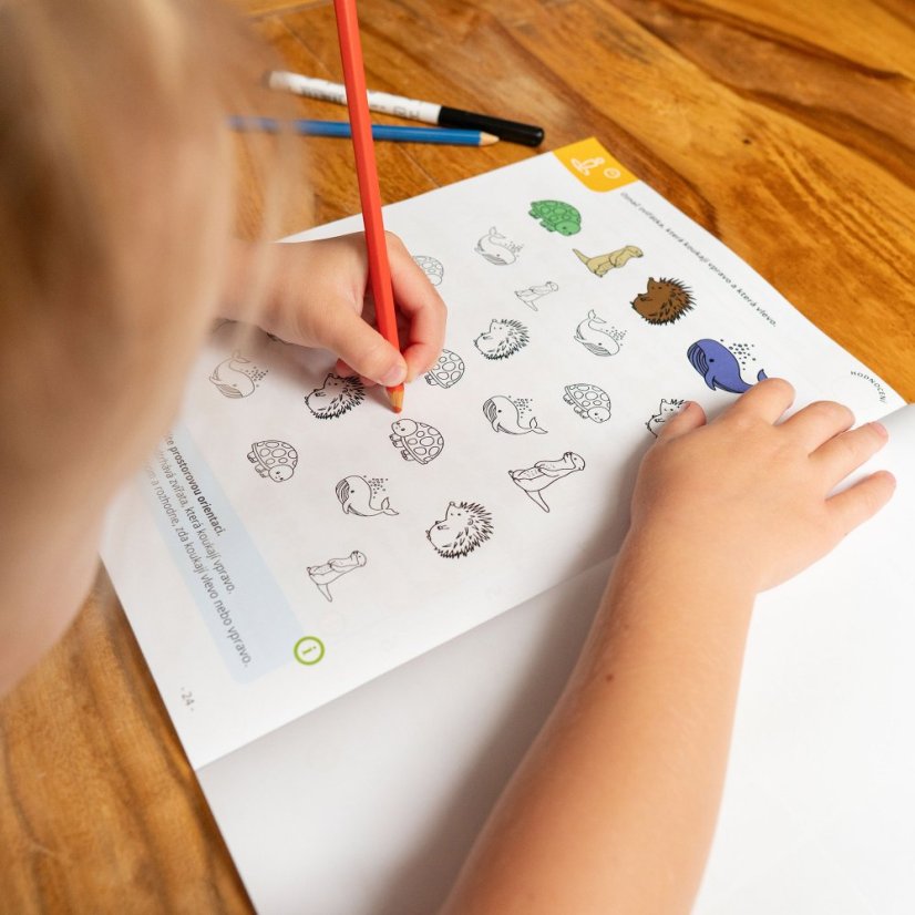 Hurá do školy - pracovní sešit pro předškolní přípravu