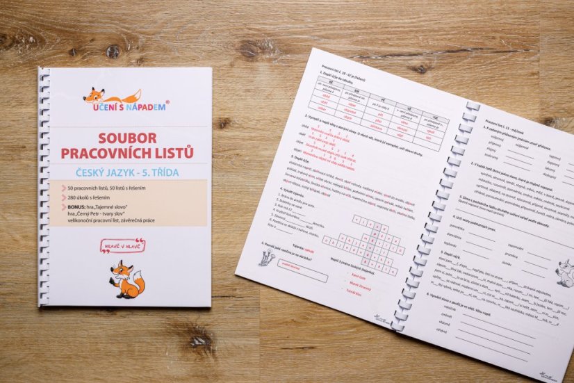 Český jazyk pro 2. - 5. třídu - pracovní listy - Typ pomůcky: PDF soubor - připraveno k vyplnění