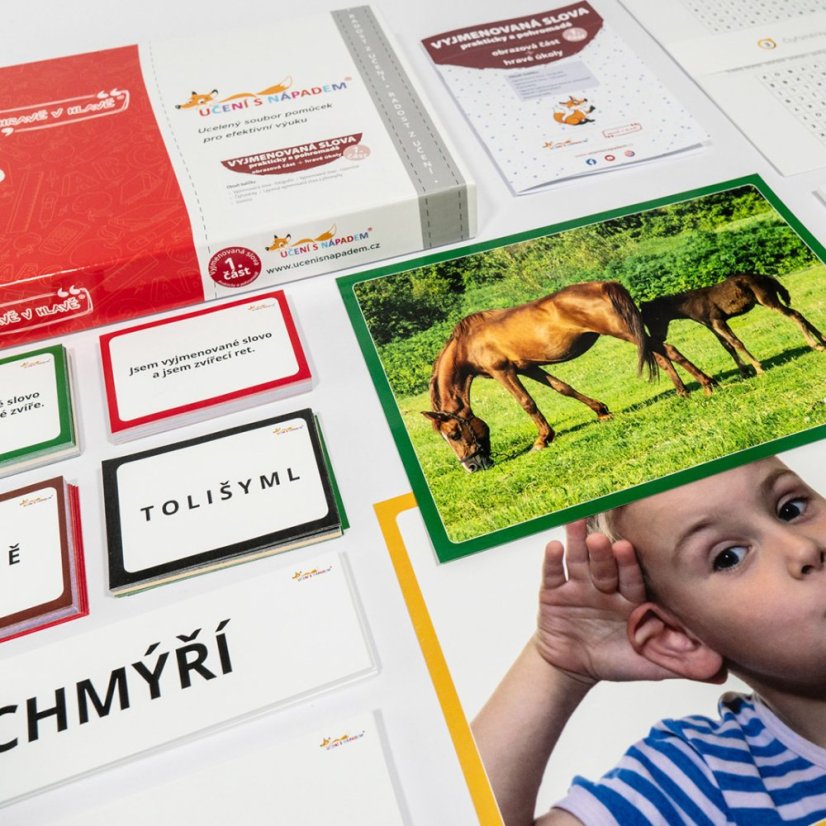 Vyjmenovaná slova prakticky a pohromadě – Obrazová část + Hravé úkoly – 1. díl