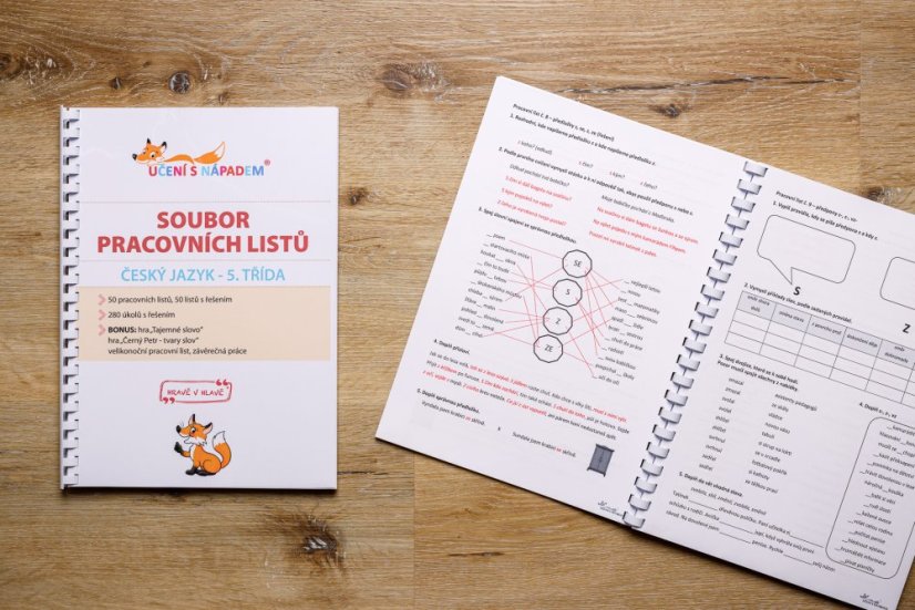 Český jazyk pro 2. - 5. třídu - pracovní listy - Typ pomůcky: PDF soubor - připraveno k vyplnění