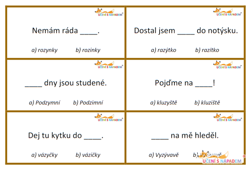 Vyjmenovaná slova – 224 souborů PDF (MULTILICENCE)